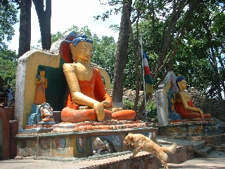 outside the Monkey Temple