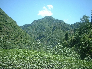 Green hills of Shaanxi
